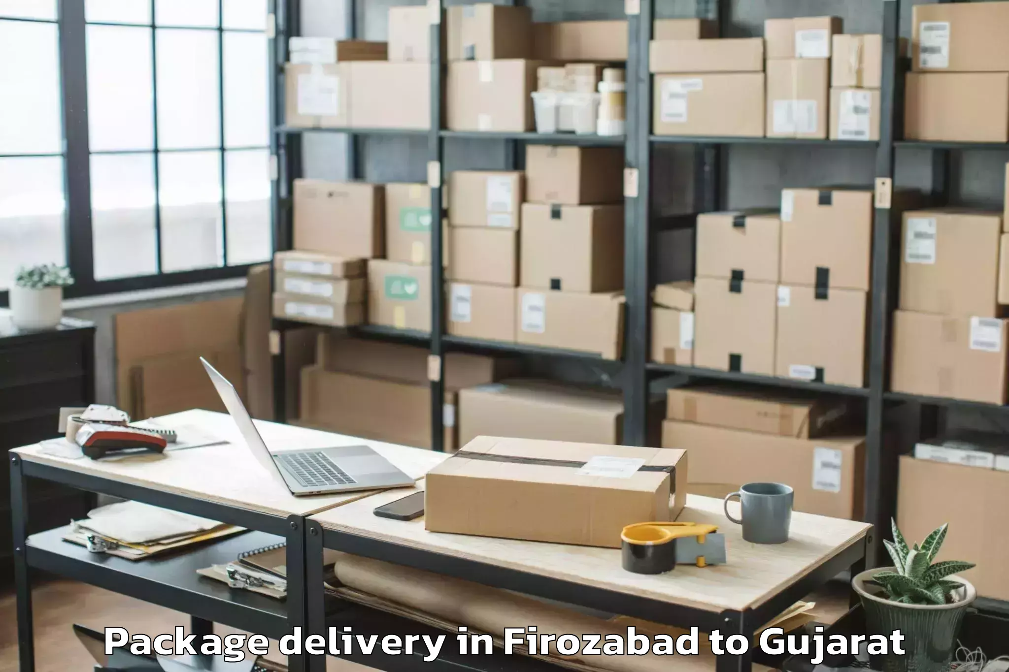 Professional Firozabad to Netrang Package Delivery